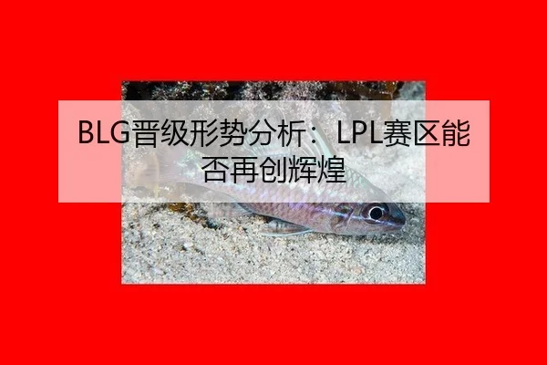 BLG晋级形势分析：LPL赛区能否再创辉煌
